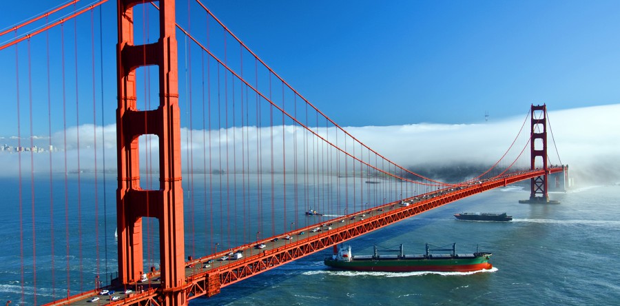 In ultrices lacus lacus tempus accumsan nibh mattis ac sed pellentesque