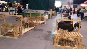 21909043_1594433760630755_112674195_o