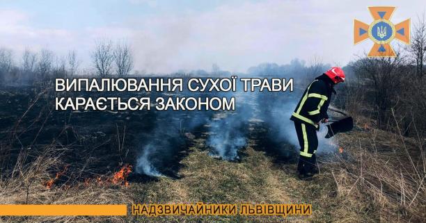 Львівська область: за минулу добу вогнеборці ліквідували 20 пожеж сухої трави