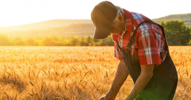 «Громадам Львівщини потрібні фахівці з аграрних питань», – Тетяна Гетьман