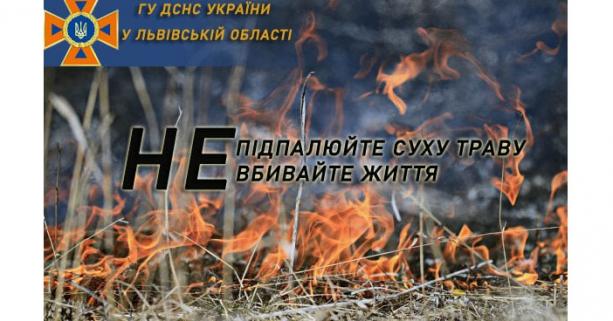 ДСНС інформує: за минулу добу в області вогонь знищив понад 1 га сухої трави