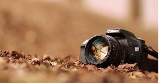 Стартував прийом заявок на художньо-фотографічний конкурс в межах проєкту «РовеЛове Розточчя – разом попри кордони»