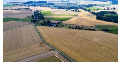 Аграріїв запрошують брати участь у земельних аукціонах