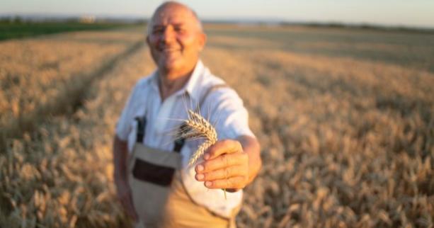 Фінансова підтримка сімейних фермерських господарств Львівщини цього року зросла утричі