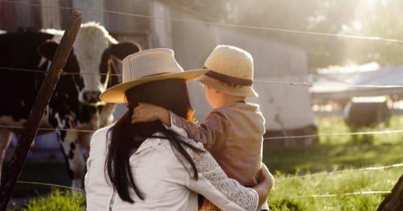 Упродовж останніх двох років в області створили 35 сімейних фермерських господарства