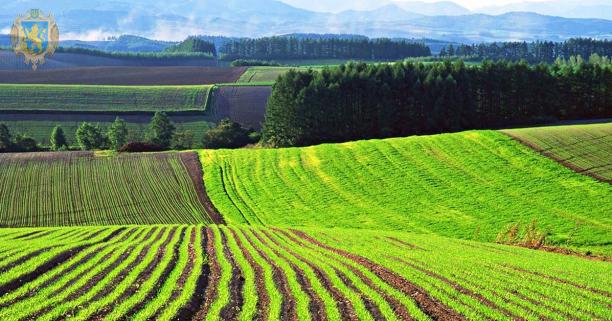 До уваги аграріїв: 23 липня відбудеться земельний аукціон з продажу прав оренди ділянок землі