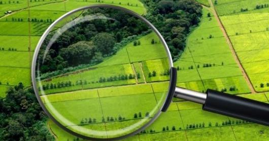 6 серпня відбудеться земельний аукціон з продажу прав оренди земельних ділянок