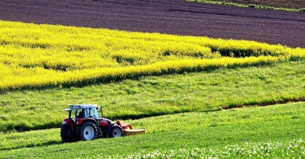 До уваги аграріїв: запрошуємо взяти участь в земельному аукціоні з продажу прав оренди