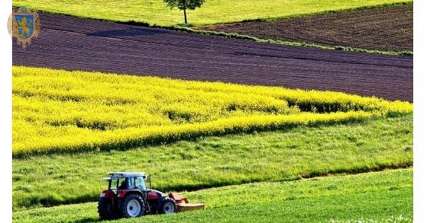 До уваги аграріїв: 1 жовтня відбудеться аукціон з продажу прав оренди землі
