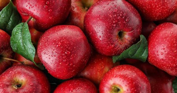 21 жовтня – Всесвітній день яблук