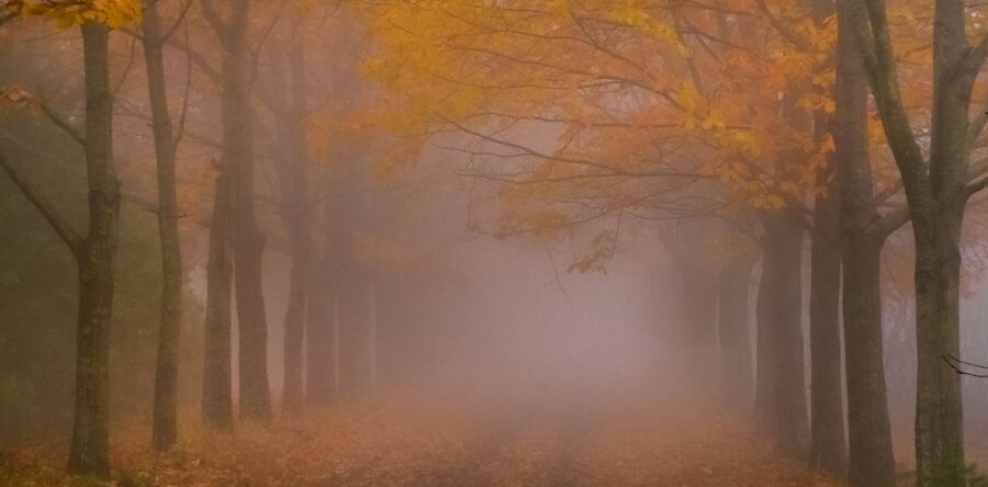 26 жовтня вночі та вранці місцями туман