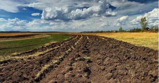 Вартість гектару паю на Львівщині на 70 % вища від середнього показника по Україні