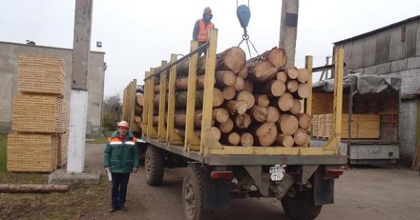Обсяги лісозаготівель на Львівщині зросли на 16,2 %