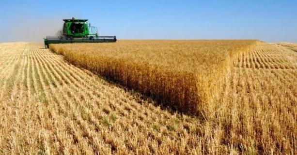 Господарства області завершують збір пізніх сільськогосподарських культур