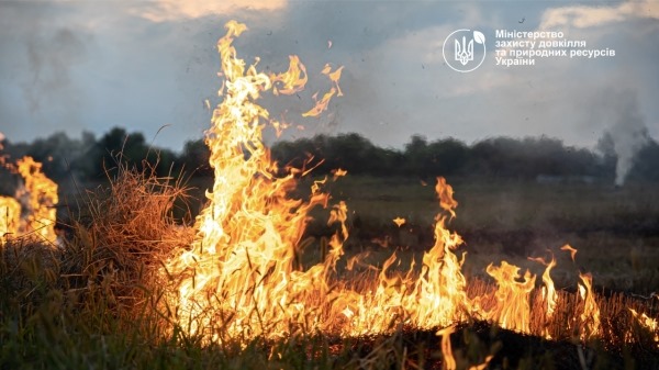 Набув чинності Порядок випалювання сухої рослинності або її залишків. 🔥🔥🔥