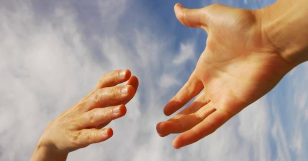 Близько 250 робочих місць створили підприємці, які взяли участь у проєкті «Рука допомоги»