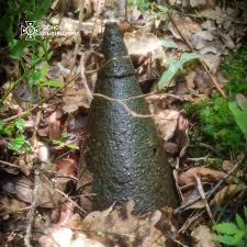 Лісові «трофеї»: на Львівщині знову знайшли снаряд часів війни