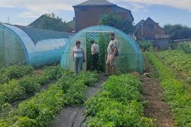 Ветеран з Херсонщини перетворив теплиці на Львівщині на справу життя