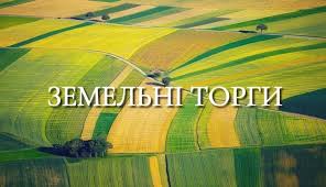 У Яворівському районі виставили на продаж земельну ділянку площею 13 гектарів