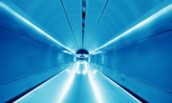 In consectetur malesuada tincidunt. Fusce auctor in dui.