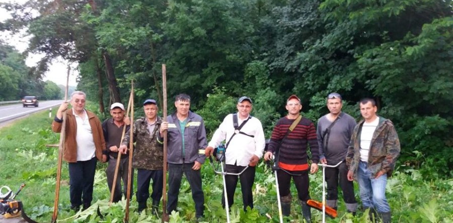 Дружня команда с. Поріччя провела акцію зі знищення борщівника Сосновського