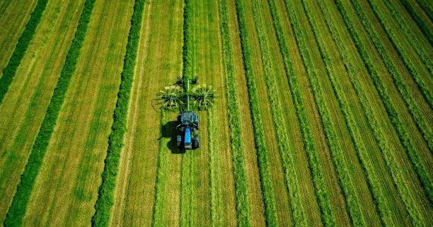 В області відбудеться земельний аукціон з продажу прав оренди п’яти земельних ділянок