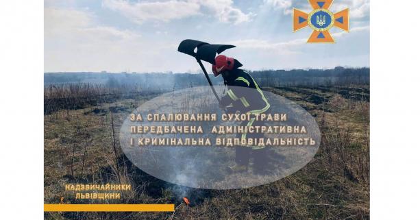 За минулу добу на Львівщині зареєстрували 16 пожеж сухої трави