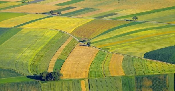 Аграріїв запрошують до участі в земельних торгах