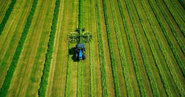 Прийнято Закон, що удосконалює механізми продажу та передачі в користування землі та прозорості аукціонів
