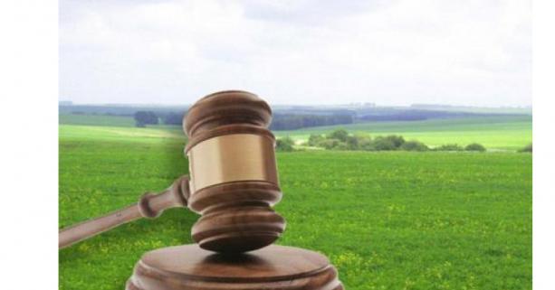 До уваги аграріїв: 26-27 травня відбудуться аукціони з продажу прав оренди земельних ділянок