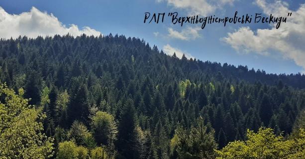 РЛП «Верхньодністровські Бескиди» запрошує відвідати територію парку цього літа