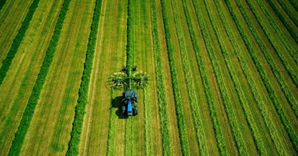 11 червня аграріїв запрошують на земельний аукціон