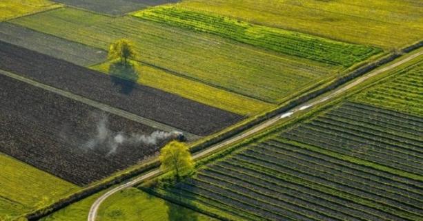 15 червня відбудеться земельний аукціон