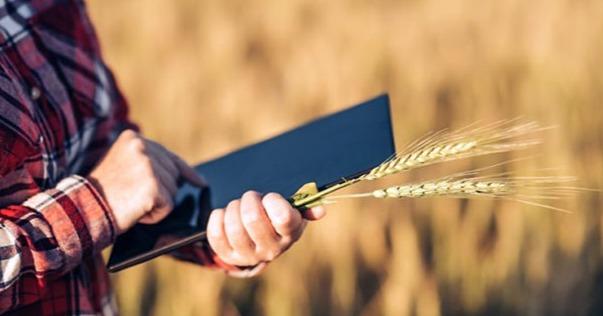 Уряд підтримав порядок ведення та адміністрування Державного аграрного реєстру