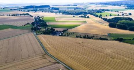 За результатами земельних аукціонів вартість оренди зросла більш як в 4,5 рази