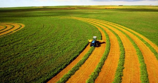 До уваги аграріїв: 30 червня відбудеться земельний аукціон з продажу прав оренди