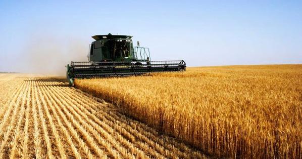 До уваги аграріїв: 2 липня відбудеться аукціон з продажу прав оренди земельних ділянок