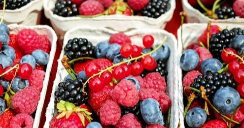 Стан та стратегію розвитку галузі ягідництва області розглянули в межах науково-практичної конференції