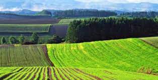 Хто з юридичних осіб є платниками земельного податку та орендної плати за землі державної та комунальної власності?