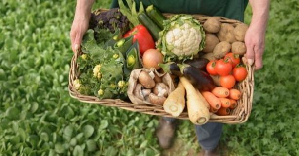 Стартувала нова програма «Органічна торгівля заради розвитку у Східній Європі» (OT4D)