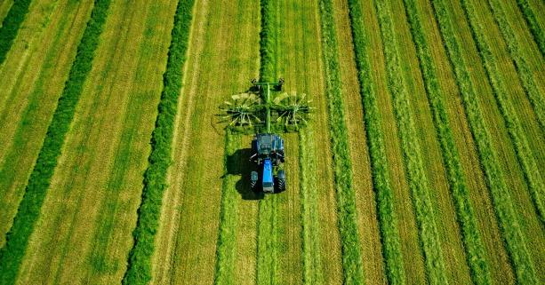 Аграріїв запрошують взяти участь у земельних торгах