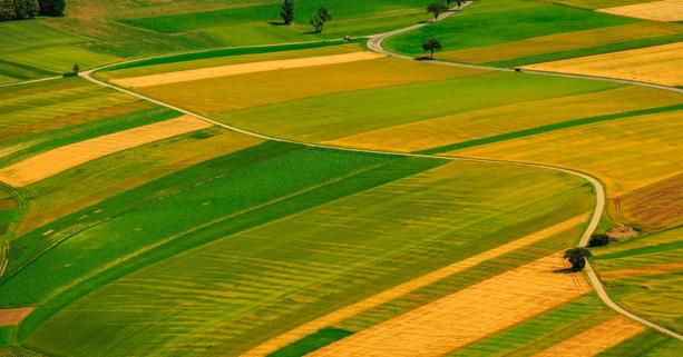 До уваги аграріїв: 4 серпня відбудеться земельний аукціон