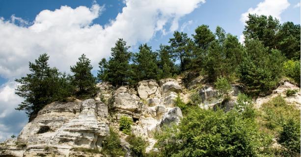 На Стрийщині відбудеться «Велопробіг дружби»: головні туристичні локації екомаршруту