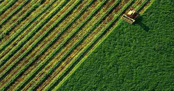 Аграріїв запрошують взяти участь у земельному аукціоні