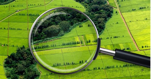 Аграріїв Львівщини запрошують 15 вересня взяти участь в земельному аукціоні