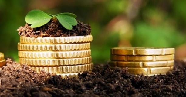 20 вересня у Городку проведуть земельний аукціон