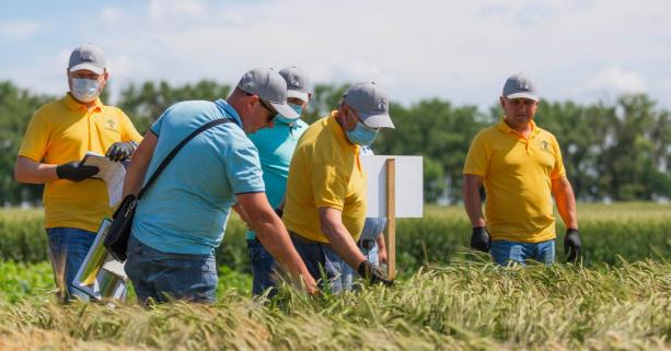Користувачів земельних ділянок біля Північної об’їзної закликають завершити городні роботи