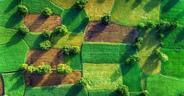 Аграріїв Львівщини запрошують 23 вересня взяти участь у земельних торгах