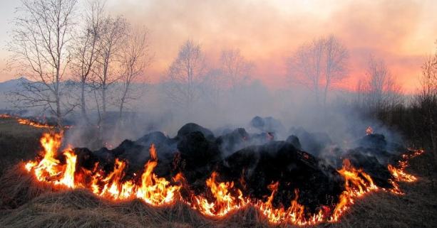 Екологи попереджають: 16 вересня в області місцями надзвичайна пожежна небезпека