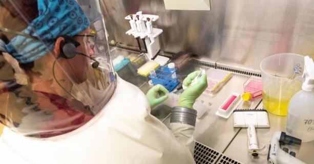 COVID-19: за добу на Львівщині більше 500 нових хворих